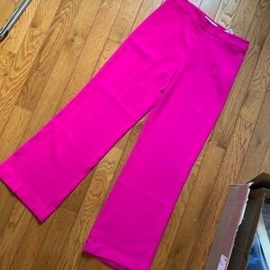 Hot pink Zara pants